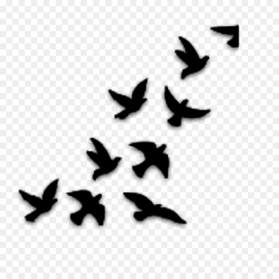 Bird Drawing YouTube Stencil - Bird png download - 1024*1024 - Free Transparent Bird png Download.