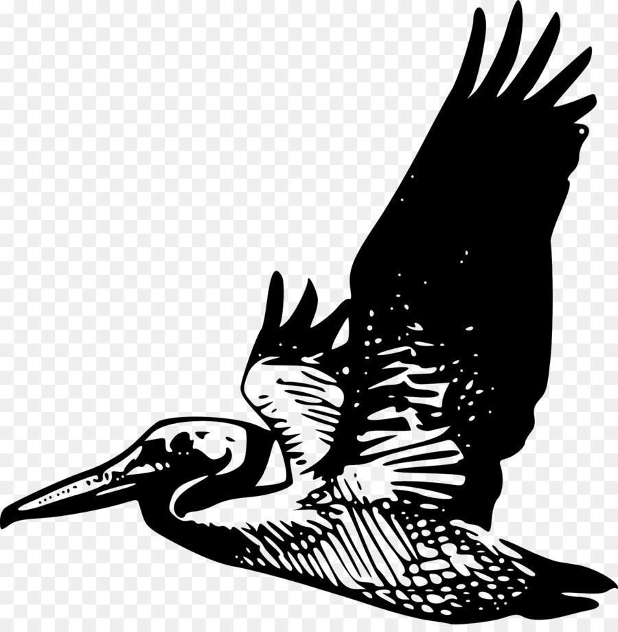 Silhouette Bird Brown pelican Clip art - flying bird png download - 1901*1920 - Free Transparent Silhouette png Download.
