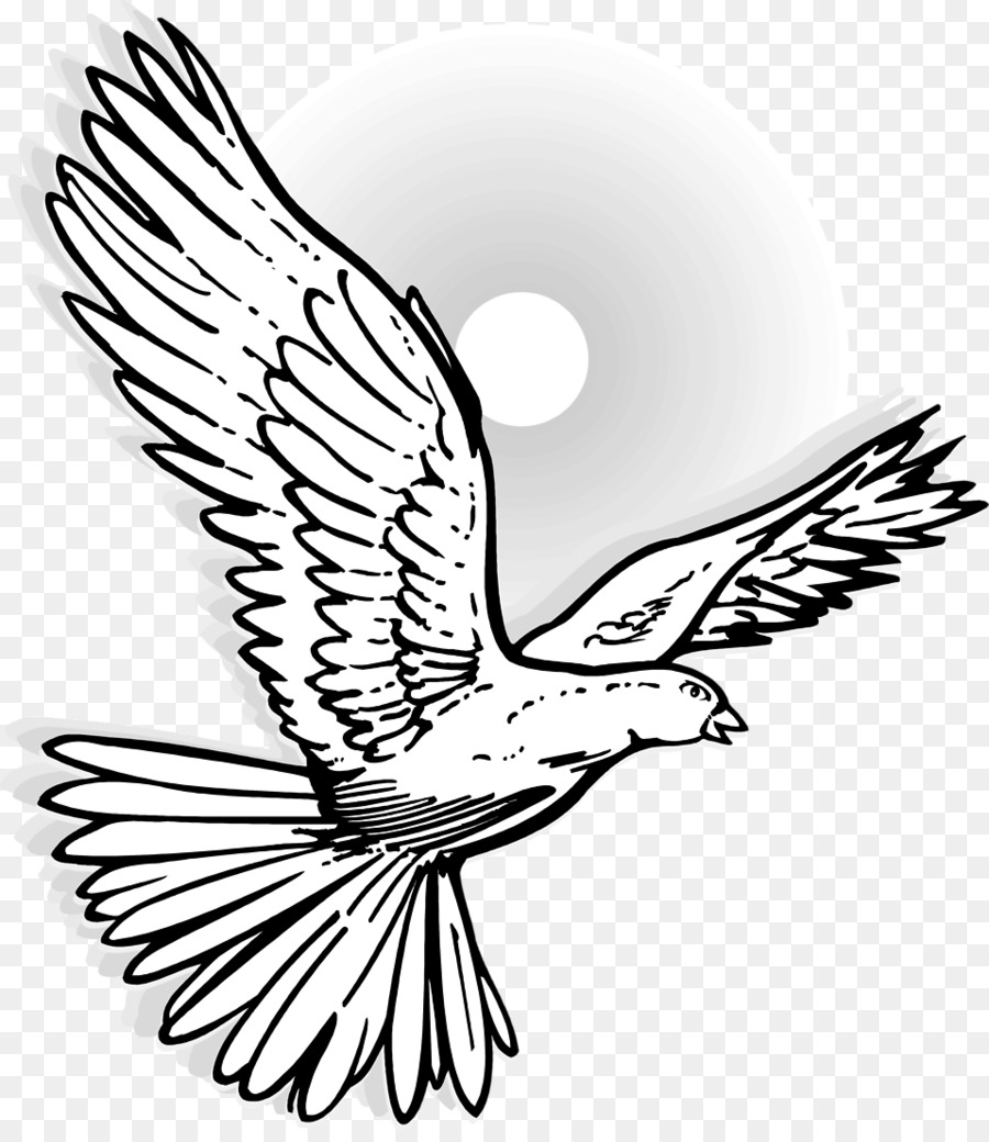 Columbidae Drawing Mourning dove Clip art - flying bird png download - 958*1096 - Free Transparent Columbidae png Download.