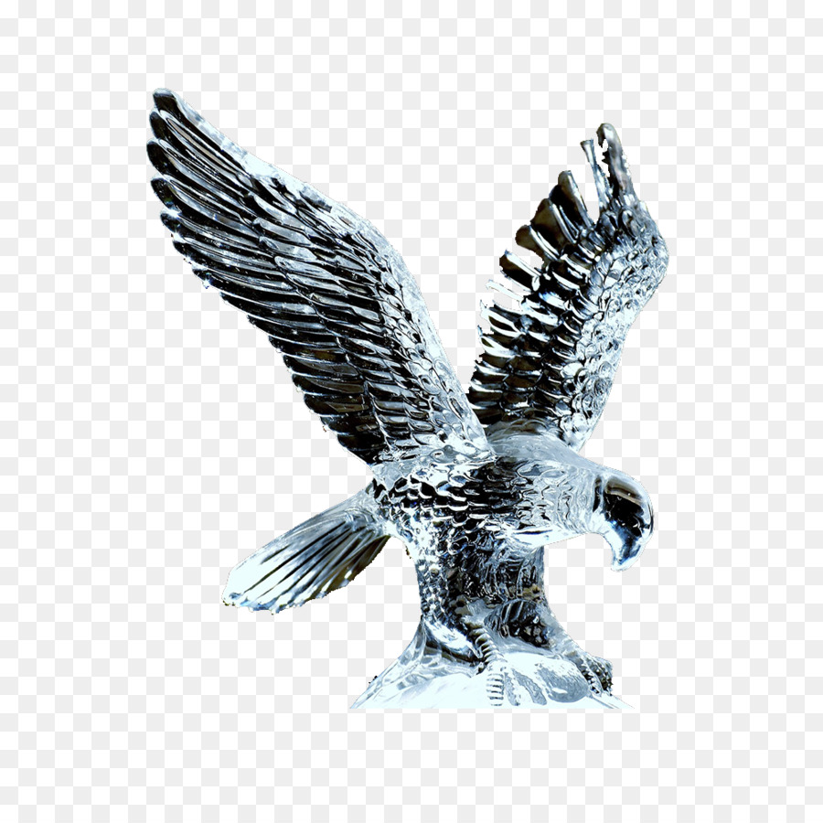 Eagle Bird Hawk - Flying up the eagle png download - 1000*1000 - Free Transparent Eagle png Download.