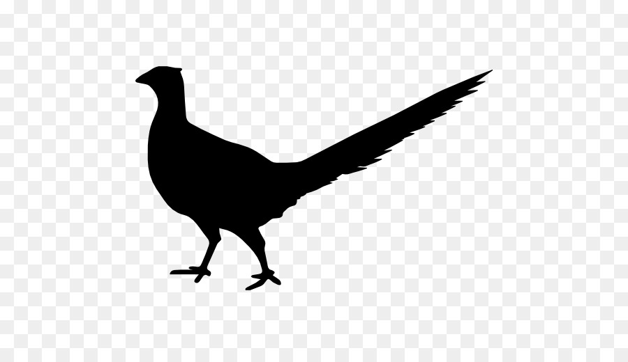 Bird Beak Animal Clip art - Bird png download - 512*512 - Free Transparent Bird png Download.