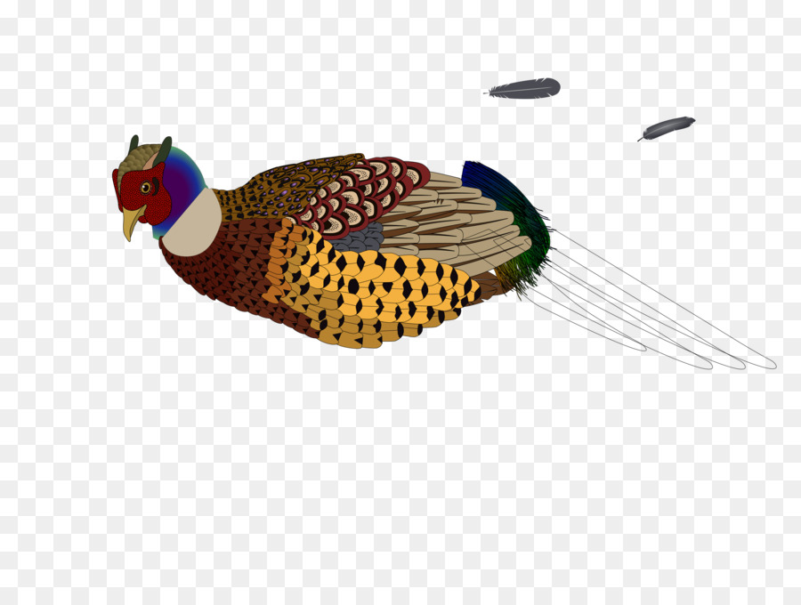 Bird Pheasant Clip art - Bird png download - 2400*1806 - Free Transparent Bird png Download.