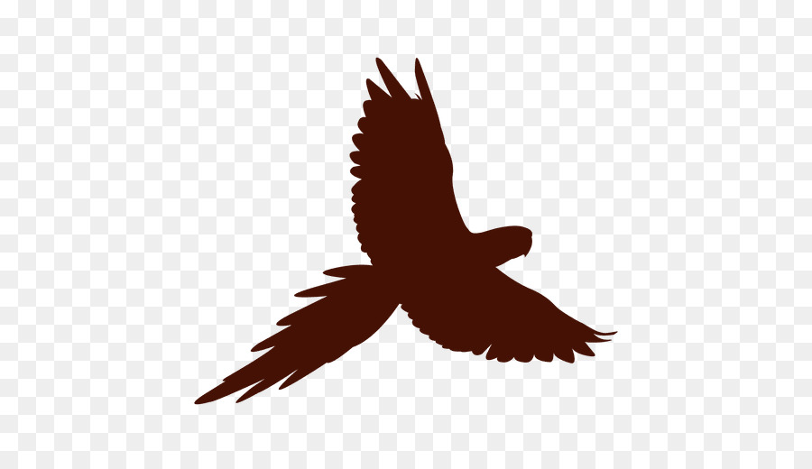 Bird Macaw Silhouette - Bird png download - 512*512 - Free Transparent Bird png Download.