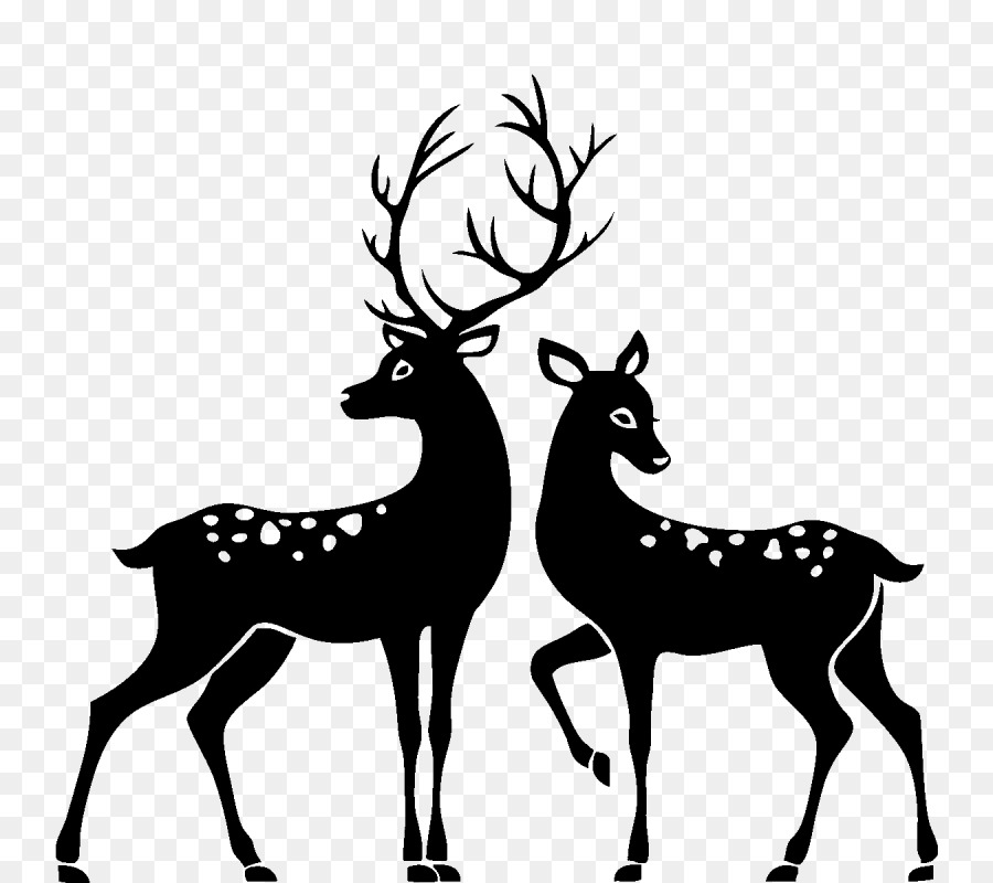 White-tailed deer Reindeer Roe deer Clip art - deer png download - 800*800 - Free Transparent Deer png Download.