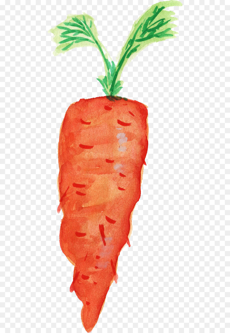 Carrot Organic food Transparent Watercolor Vegetable - watercolor leaves png download - 528*1300 - Free Transparent Carrot png Download.