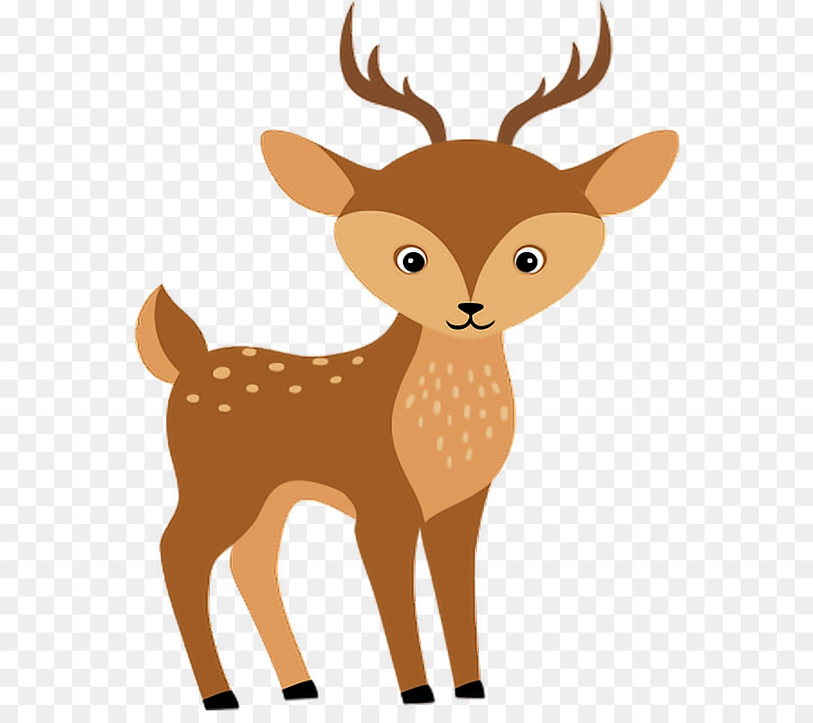 Clip art Vector graphics Illustration Portable Network Graphics Image - animals frame png forest animals png download - 604*786 - Free Transparent Forest png Download.