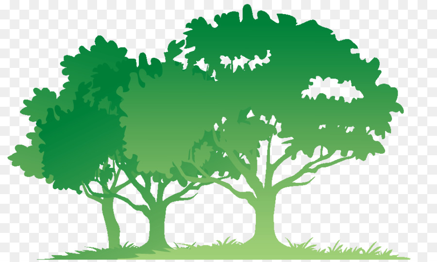 Bible Tree Child Donation Therapy - forest Silhouette png download - 960*575 - Free Transparent Bible png Download.