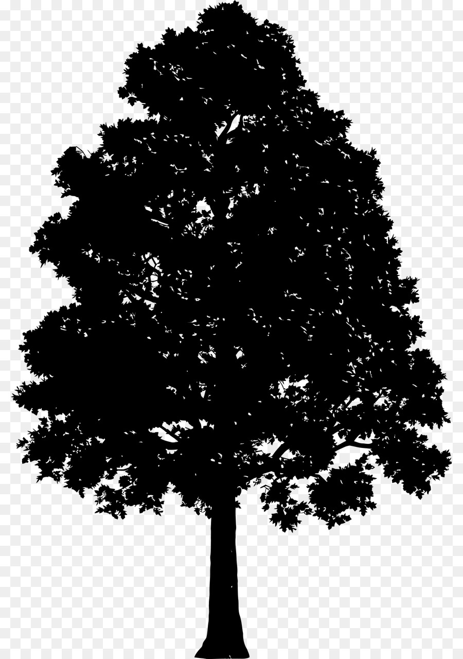 Drawing Tree Silhouette Clip art - tree png download - 857*1280 - Free Transparent Drawing png Download.