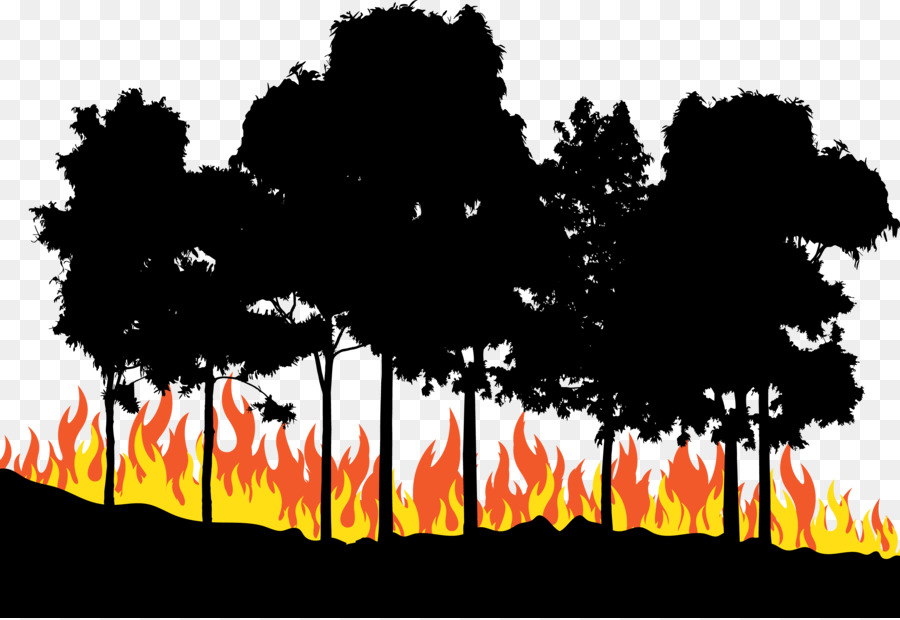 Fire Euclidean vector - Fire in the woods png download - 5833*4004 - Free Transparent Fire png Download.