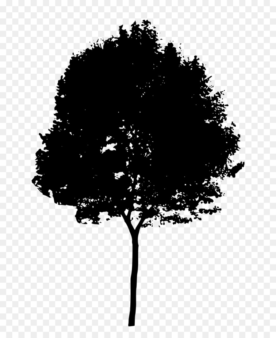 Silhouette Tree Clip art - natural environment png download - 768*1081 - Free Transparent Silhouette png Download.