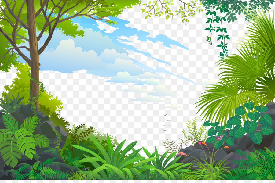 Tree Forest Wallpaper - Blue Space png download - 4962*3252 - Free Transparent Tree png Download.