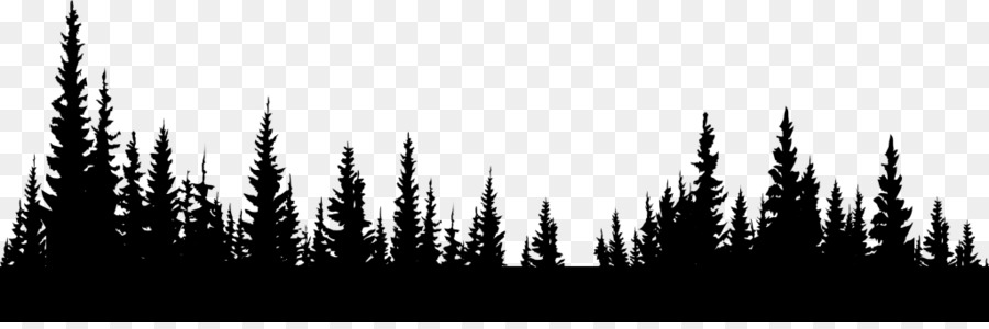 Clip Art Pine Trees Black And White Free Clipart - Line Drawing Of  Christmas Tree PNG Image | Transparent PNG Free Download on SeekPNG