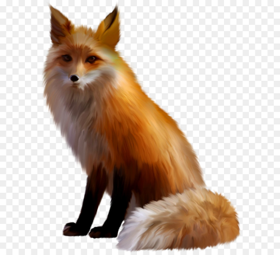 Cat German Spitz Fox Gray wolf Ear - Fox PNG png download - 1689*2117 - Free Transparent Stoned Fox png Download.