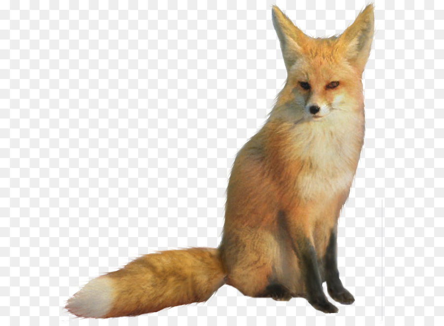 Star Fox Fox McCloud - Fox PNG png download - 725*725 - Free Transparent RED Fox png Download.