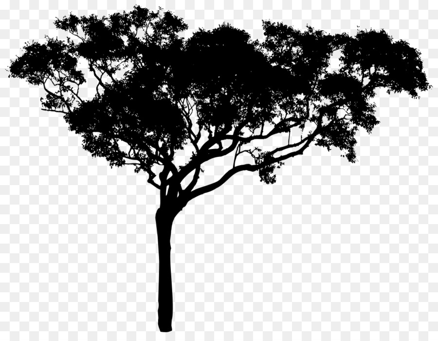 Tree Silhouette Clip art - tree png download - 1000*767 - Free Transparent Tree png Download.