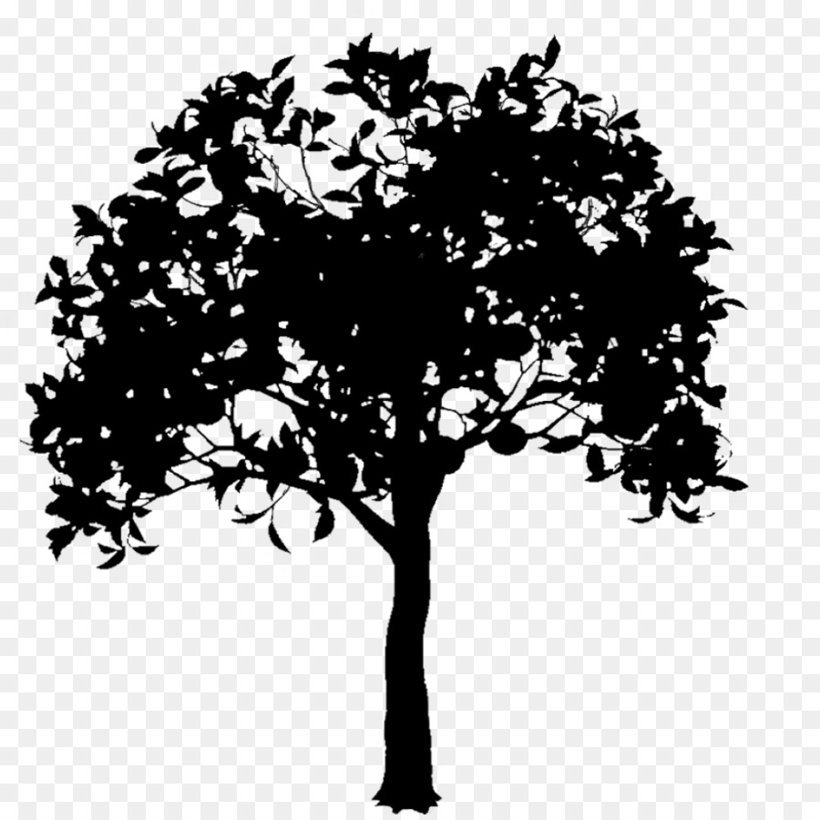 Branch Silhouette Illustration Vector graphics Tree -  png download - 894*894 - Free Transparent Branch png Download.