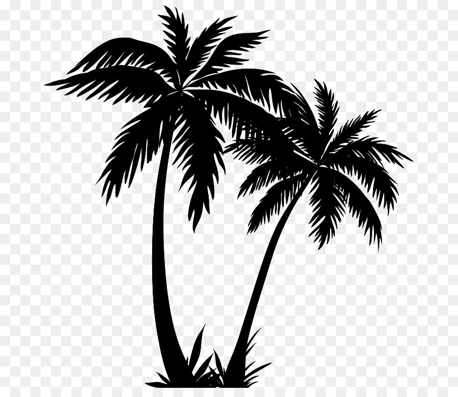 Silhouette Palm trees Clip art Drawing Vector graphics - silhouette png download - 736*762 - Free Transparent Silhouette png Download.