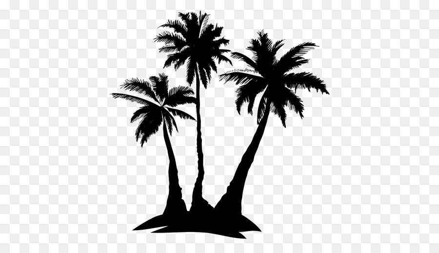 Arecaceae Silhouette Tree Drawing - complex vector png download - 512*512 - Free Transparent Arecaceae png Download.