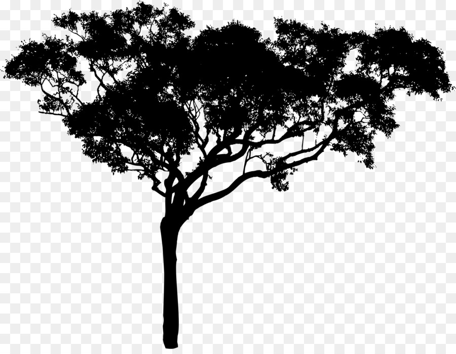 Tree Silhouette Branch Clip art - tree vector png download - 2344*1798 - Free Transparent Tree png Download.