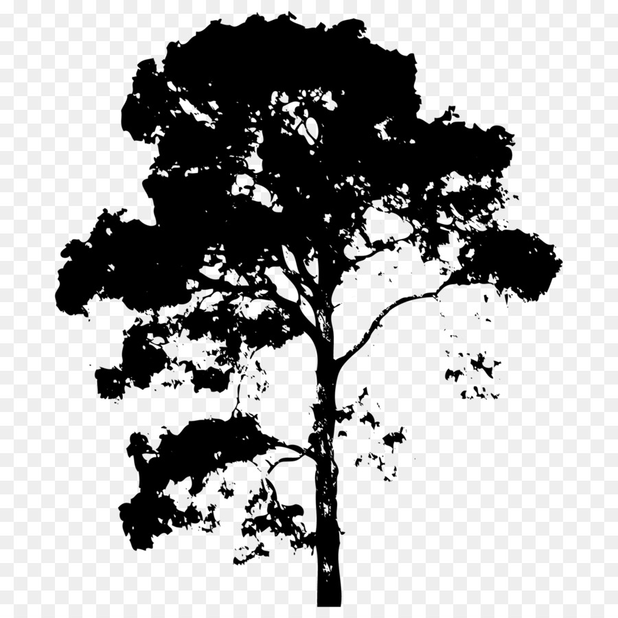 Branch Tree Drawing - vector trees png download - 1600*1600 - Free Transparent Branch png Download.