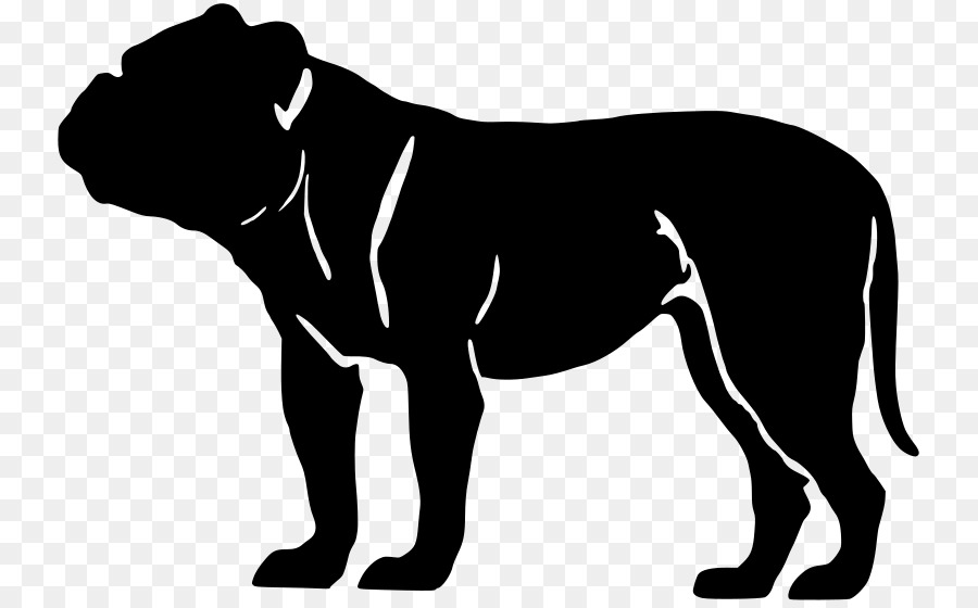 French Bulldog American Bully Great Dane English Mastiff - bulldog png download - 800*556 - Free Transparent  Bulldog png Download.
