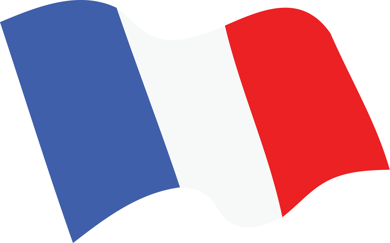 Символ французской революции. Символы Великой французской революции флаг Франции. Флаг Франции символ французской революции. Флаг Франции во время Великой французской революции. Флаг Франции 1789.