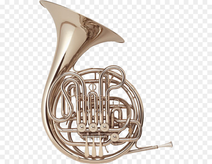 Holton-Farkas French Horns Brass Instruments Musical Instruments - french horn png download - 567*700 - Free Transparent  png Download.