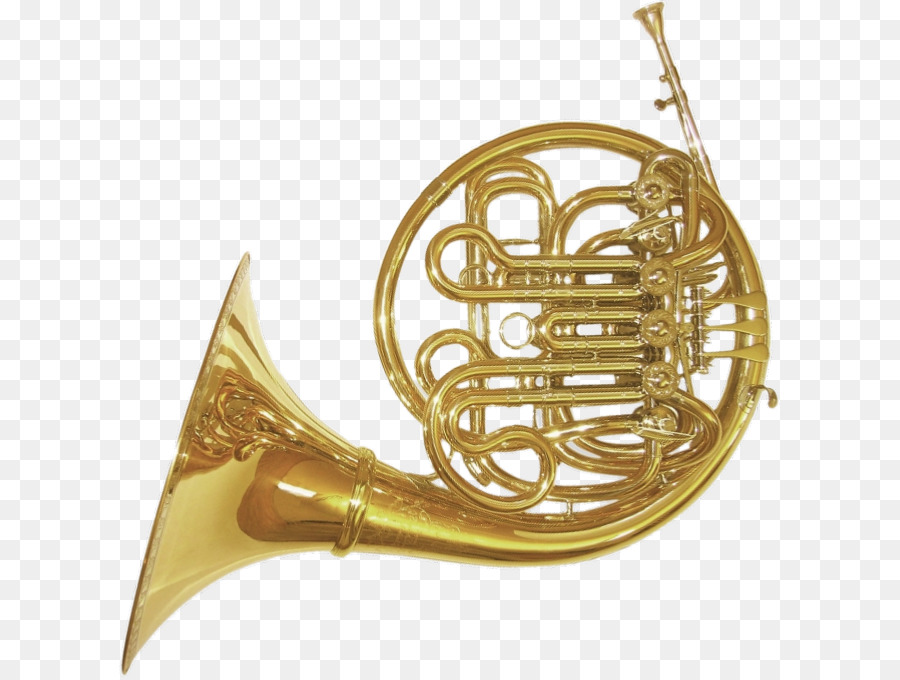 Saxhorn French Horns Paxman Musical Instruments Trumpet - french horn png download - 661*677 - Free Transparent  png Download.