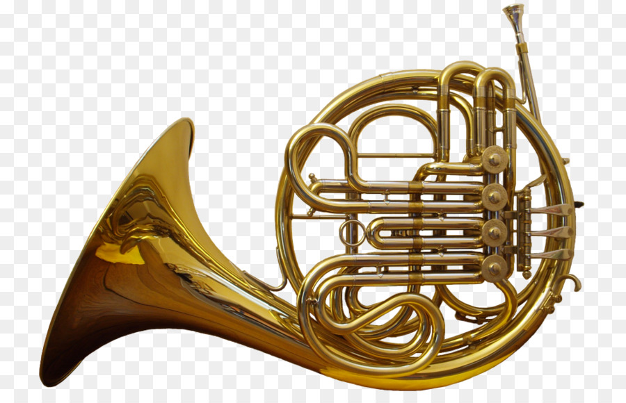 French horn Musical instrument Brass instrument Orchestra - Golden Queen png download - 800*569 - Free Transparent French Horn png Download.