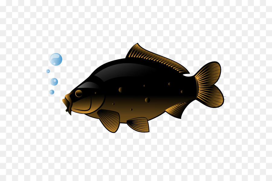 Swordfish Freshwater fish Clip art - Vector fish png download - 600*600 - Free Transparent Fish png Download.
