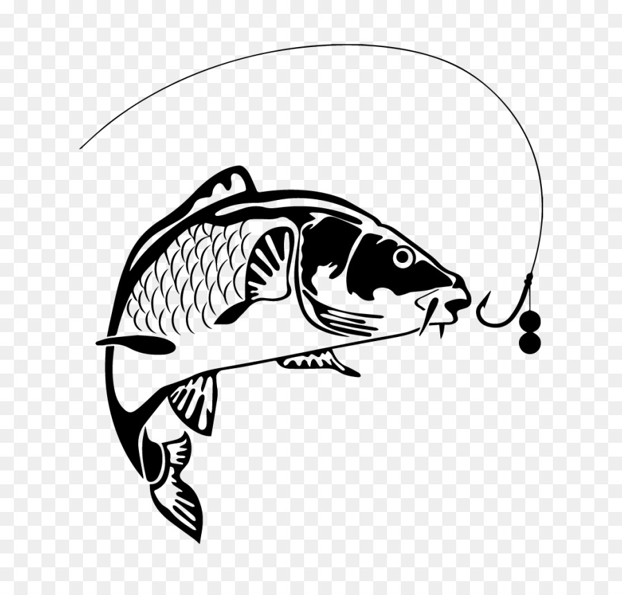 Koi Carp fishing - fish png download - 850*850 - Free Transparent Koi png Download.