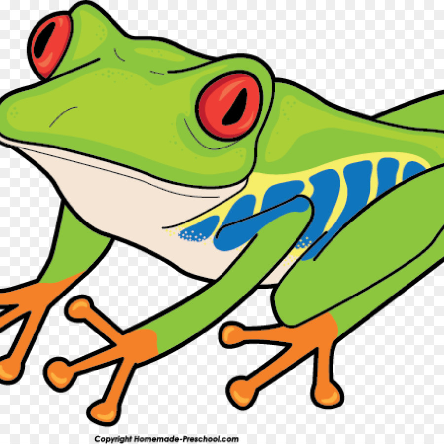 Tree frogs Clip art Red-eyed tree frog - fish praying png download - 1024*1024 - Free Transparent Frog png Download.