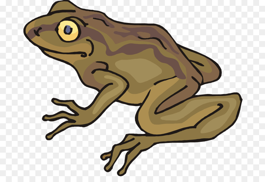 Frog and Toad All Year Clip art - Ugly Frog Cliparts png download - 750*605 - Free Transparent Frog png Download.