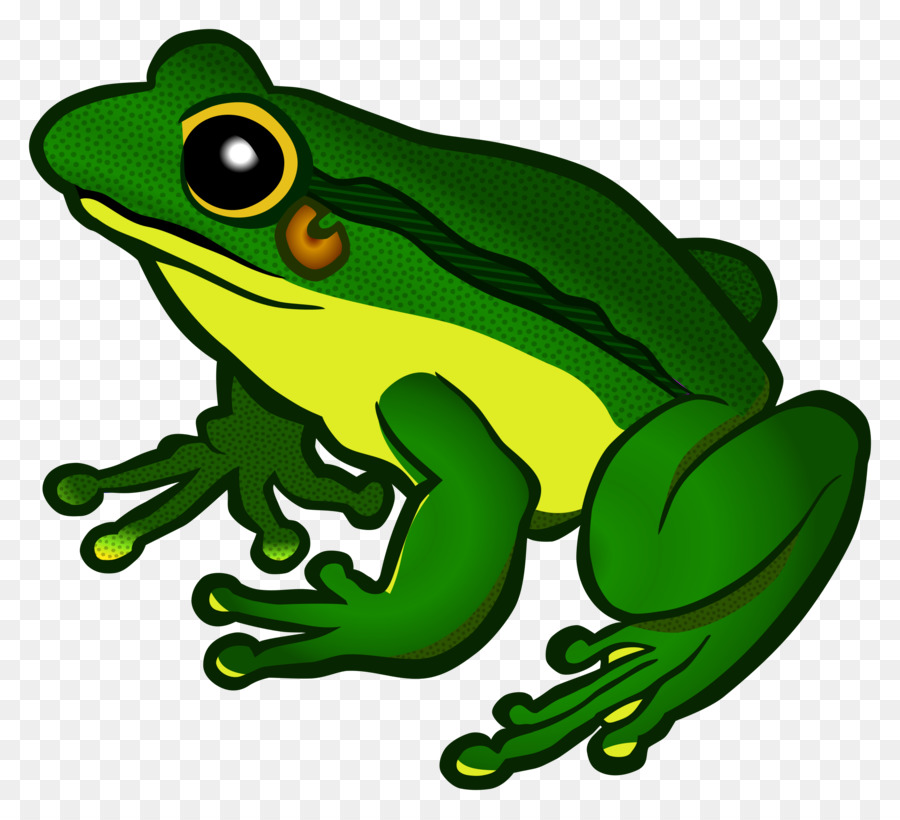 Frog Scalable Vector Graphics Clip art - Frog Transparent Background png download - 2400*2185 - Free Transparent Frog png Download.