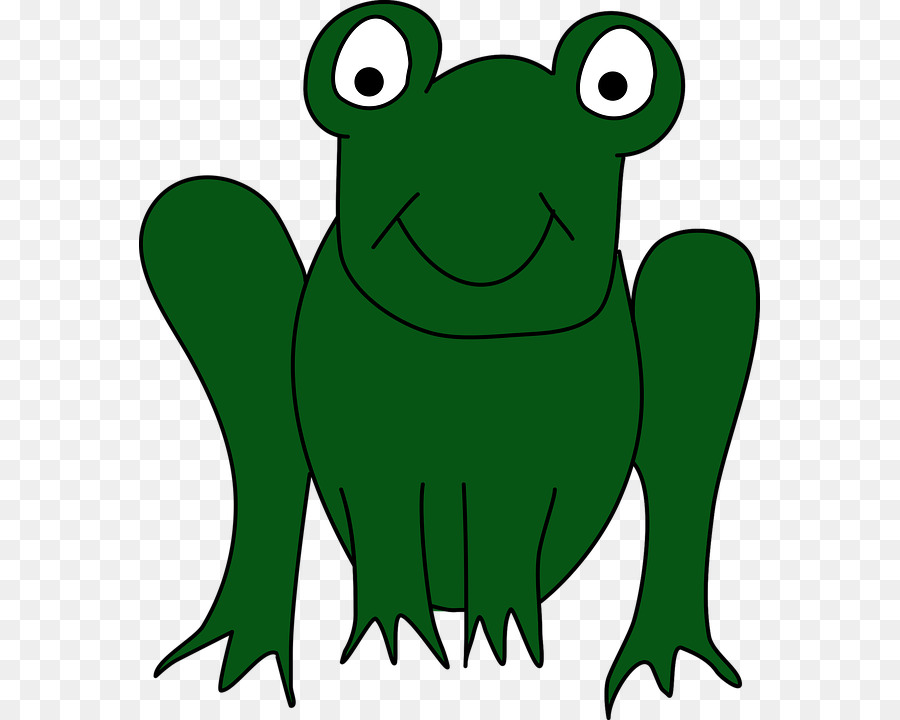Toad True frog Clip art Tree frog - Frog clipart png download - 621*720 - Free Transparent Toad png Download.