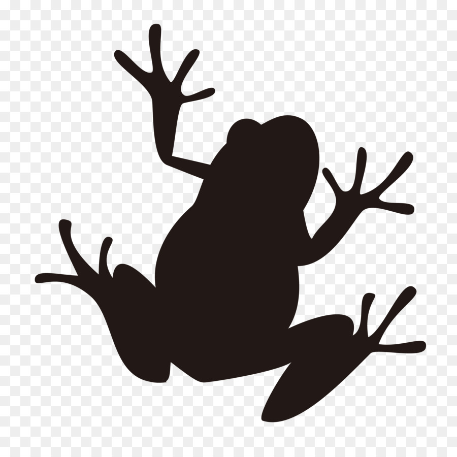 Frog Silhouette Illustration Image Amphibians - frog png download - 2598*2598 - Free Transparent Frog png Download.