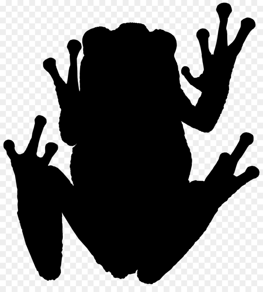 Tree frog Amphibians Photography Silhouette - frog png download - 1024*1119 - Free Transparent Frog png Download.