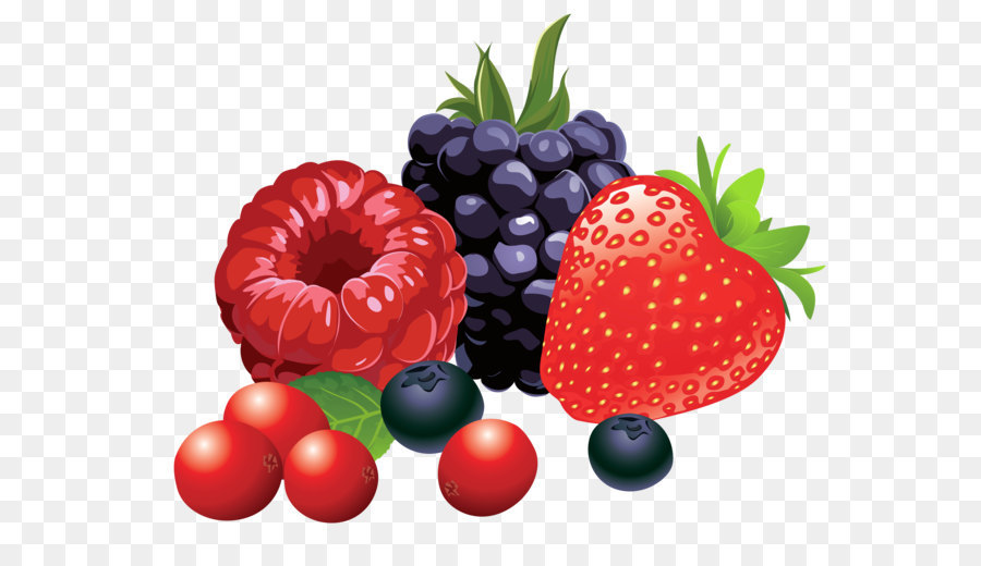 Berry Fruit Clip art - Forest Fruits PNG Vector Clipart Image png download - 3480*2681 - Free Transparent Berry png Download.