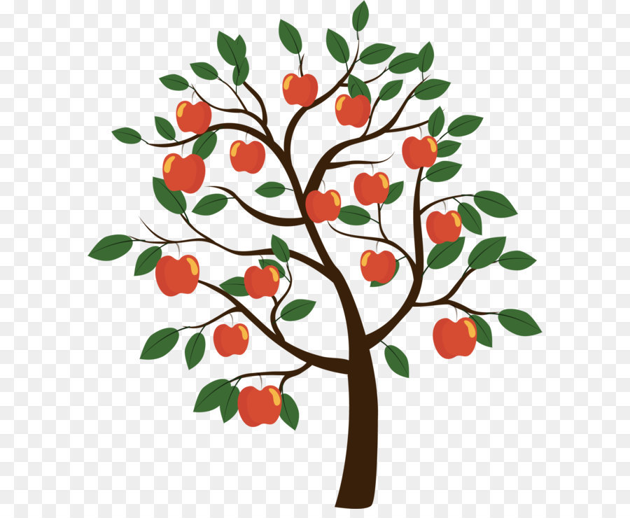 Fruit tree Euclidean vector - Vector apple tree png download - 1825*2041 - Free Transparent Fruit ai,png Download.