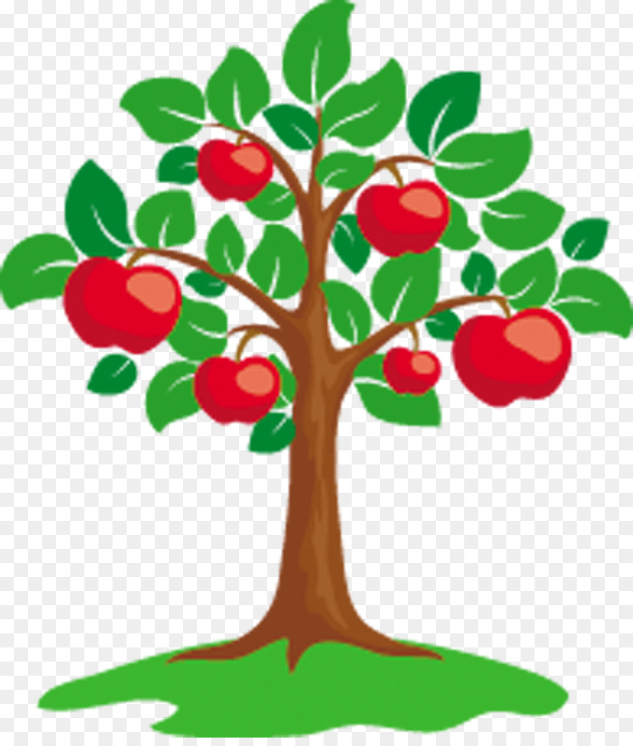 Apple Tree Clip art - dry fruit png download - 990*1153 - Free Transparent Apple png Download.