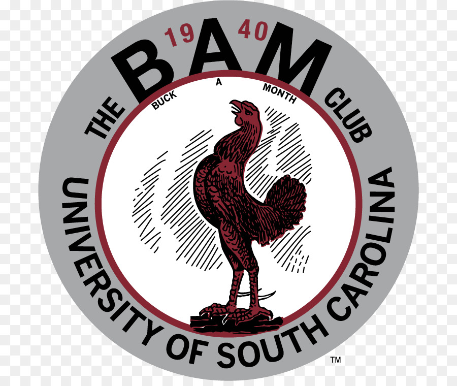 University of South Carolina South Carolina Gamecocks football ...