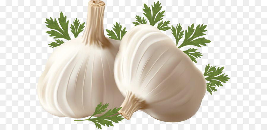 Garlic bread Computer file - Garlic PNG png download - 3508*2362 - Free Transparent Garlic png Download.