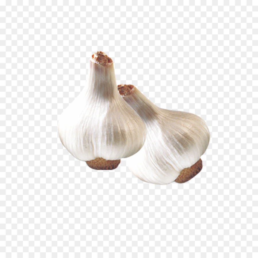 Garlic Fresh - Fresh garlic png download - 1181*1181 - Free Transparent Garlic png Download.