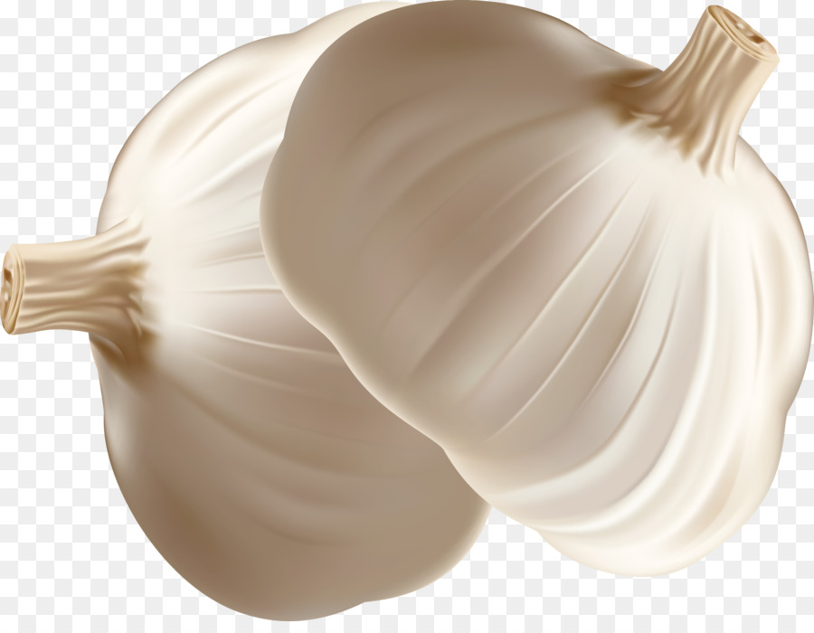 Garlic Onion Euclidean vector - Onion decoration design vector png download - 2775*2118 - Free Transparent Garlic png Download.