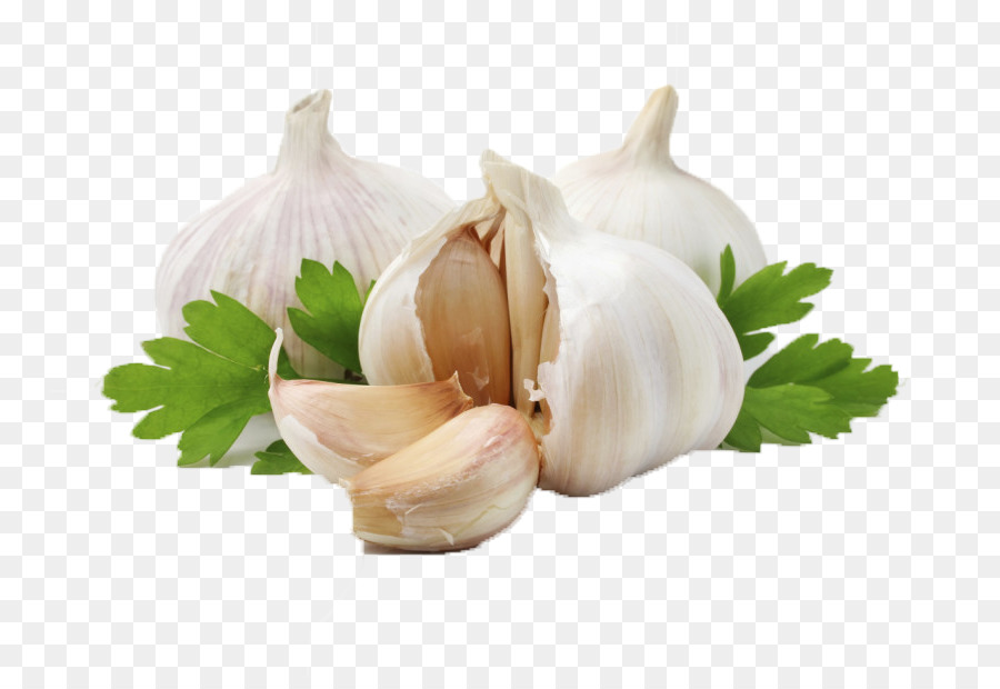 Garlic Olive oil Herb Ingredient - garlic png download - 810*609 - Free Transparent Garlic png Download.