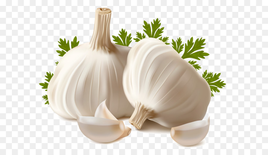 Garlic bread Vegetable Clip art - Garlic PNG png download - 3000*2324 - Free Transparent Garlic Bread png Download.
