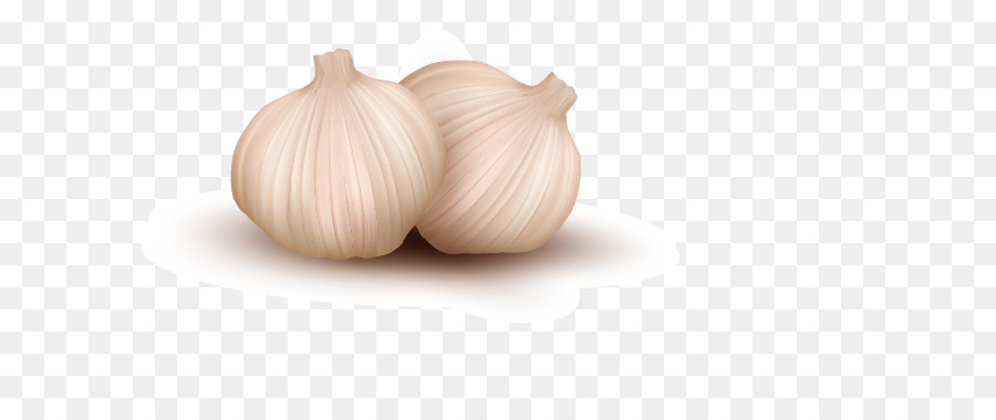 Garlic Onion Vegetable Illustration - garlic png download - 711*361 - Free Transparent Garlic png Download.