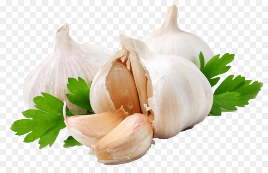 Garlic Vegetable Food Clip art - onion png download - 1144*722 - Free Transparent Garlic png Download.