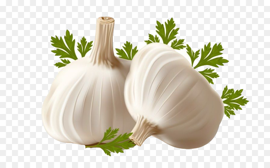 Garlic bread Allicin Clip art - garlic png download - 800*555 - Free Transparent Garlic png Download.