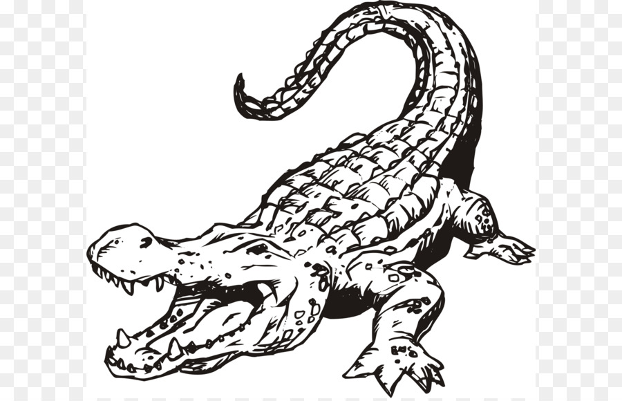 Alligator Crocodile Black and white Clip art - Bear Mascot Clipart png download - 1600*1418 - Free Transparent Crocodile png Download.